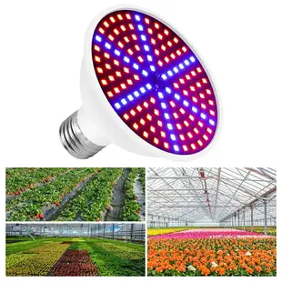 Led 全光譜燈 E27 植物生長燈泡 E14 Phytolamp GU10 生長燈 MR16 溫室水培系統 30W 5