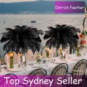 Black 25-80cm Ostrich Feather DIY Crafts Feathers Wedding Party Home Decoration