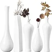 Secret Color-Ceramic Vase Set of 5 (White) Creative Simple Dried Flower Nordic Home Soft Decorations Zen