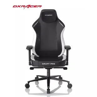 DXRacer 電競賽車椅 CRAFT  熊貓黑白配色 D5000-BKW