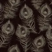 Wallpaper Designer Peacock Feathers on Black Background, 60 sq ft Bolt