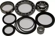 All Balls Racing Differential Bearing and Seal Kit Rear 25-2033