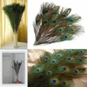 1/10pcs Natural Peacock Tail Feathers Party Clothing Decoration Craft DIY Decor