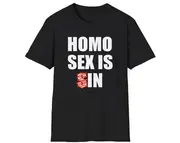 Homo Sex is S in Sin Sarcastic Joke Tee, Gift Shirt