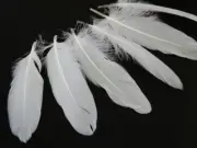 USA SELLER | 1 Pack - White Goose Satinettes loose feathers 0.3 oz. Craft Art