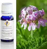 Gumleaf Essentials Geranium Egyptian Essential Oil - 10ml, Cruelty Free & Vegan, 100% Pure & Natural