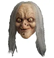 Wanda The Witch Ugly Horror Storybook Adult Womens Costume Overhead Mask Hair