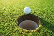 Lawn Pro Golf Course Putting / Bowling Green Seed Bentgrass 2.5kg covers 250sqm