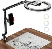 [LUOLED] Ring Light with Stand and Phone Holder, USB 10" Ring Light for Desk, Overhead Camera Mount with Ringlight, Desk Lamp with Clamp for Photography/Makeup/Live StreamVideo/YouTube