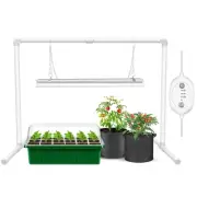 Grow Lights for Seed Starting with 6/9/12H Timer, 2ft T5 144 LEDs Full Spectr...