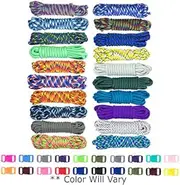 West Coast Paracord Zesty 550lb Survival Paracord Random Combo Crafting Kit 10 Colors of 500lb Cord and 10 Buckles - Type III Paracord - Make 10 Paracord Bracelets - Great Gift (Zesty, 200 Feet)