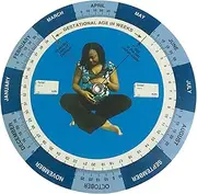 Yuehuam 8Pcs Pregnancy Wheel, Pregnancy Wheel Due Date Calculator for Pregnant Patients, Plastic Gestational EDC Wheel Designed for OB/GYN, Doctors, Midwives, Nurses, and Patients