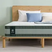 Zinus Queen Mattress | 5-Zone Chiro Cooling Premium Pocket Spring Foam Mattress