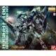 BANDAI 萬代 MG 1/100 GN-0000+GNR-010/XN OO XN RAISER 鋼彈 東海模型