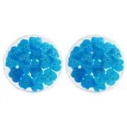 2PK Leni Handcrafted Resin Coaster Real Flower Hydrangea Blue