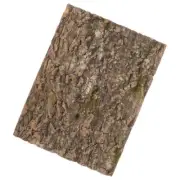Bark Background Board Baby Delicate Aquarium Terrarium Cork Decor