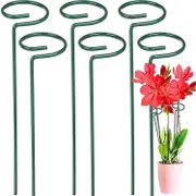 6 Pack Plant Stakes for Flowers, Metal Single Stem Plant Support, Garden Plant Stakes for Amaryllis Orchid Lily Rose Tomatoes, Dark Green