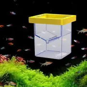 Floating Breeder Box Acrylic Incubator for Shrimp Baby , Egg