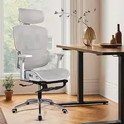 Furb Ergonomic Office Chair, High Desk Chair with 3D Adjustable Armrest Steel Base Lumbar Support for Executive/Computer Desk/Task Work, Grey