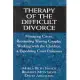 Therapy of the Difficult Divorce: Managing Crises, Reorienting Warring Couples, Working with the Children and Expediting Court Processes