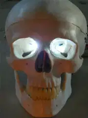 HALLOWEEN PROP WHITE LED EYES FOR MASK OR SKULL 24 inch
