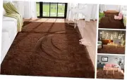 Rugs for Living Room Brown Fluffy Rug 4x6 Bedroom Rug 4x6 feet Coffee Brown