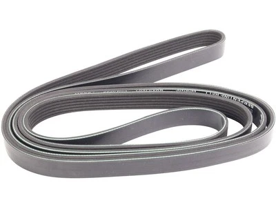 Multi Rib Belt For 1993-2002 Ford E150 Econoline 1994 1995 1996 1997 TK691SM (for: Ford)