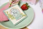 Sizzix Framelits Die & Stamp Set By Olivia Rose 10/Pkg-Special Wishes