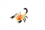 Scorpion, Rubber Toy Animal, Realistic Figure, Model, Replica, Kids 4" CWG50