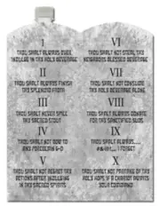 Ten Commandments Of Party