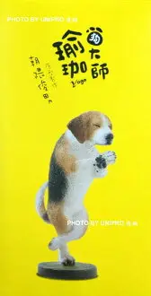 在飛比找樂天市場購物網優惠-台灣正版 朝隈俊男 Animal Life 狗瑜珈大師 單售