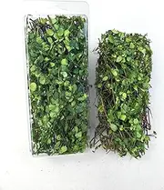 Haivvood Miniature Vine Vegetation for DIY Model Trees Basing Material Kit, Realistic Miniature Leaves Simulation Leavesfor Train Landscape Railway Artificial Grass Modeling (Light Green)