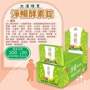 大漢酵素 淨暢酵素錠20錠x10盒/組 蔬果酵素、台灣製造、憨吉小舖