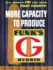 1962 Style Funk's Hybrid Seed Corn NEW Metal Sign: 12x16" Ships Free