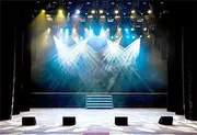 Leyiyi 7x5ft Luxury Stage Spotlight Backdrop Concert Live Plateform Banner Vintage Curtain Celebrity Background Drama Music Show Kids Birthday Adults Vlogger Portrait Studio Prop Vinyl Wallpaper