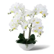 Artificial Orchid Flowers Potted in Ceramic Pot, White Faux Phalaenopsis Ww11