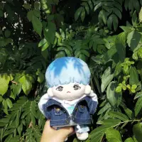 在飛比找蝦皮購物優惠-BTS 韓站 閔玧其娃 藍莓其 20cm娃