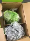 hand held blender