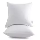 18"x18" Pillow Inserts (Set of 2) - Throw Pillow Inserts with 18Inch x 18Inch