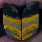 Natural BumbleBee Jasper Match Pair 29.95 Cts. Cabochon Gems For Earring Jewelry