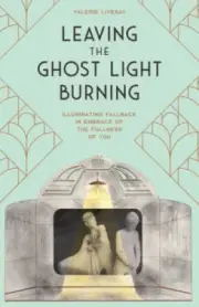 Leaving the Ghost Light Burning: Illuminating Fallback in Embrace of the