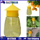 AU Fruit Fly Trap Killer Flies Catcher Reusable Insect Fly Trap Solid for Home F