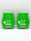 Scentsy Wax Bars Meet At The Mistletoe Discontinued 2 Pack New Ships w/ Icepack