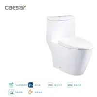 在飛比找蝦皮購物優惠-CF1363省水單體馬桶 CAESAR 凱撒衛浴