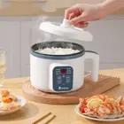 Double Layer Mini Rice Cooker 1.7L Electric Hot Pot Dormitory