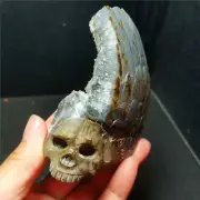 RARE 193.8G Natural Purple Quartz Crystal Teeth Hand Carved Skull Healing WD1453