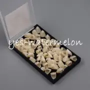 Dental Temporary Crown Veneers for Anterior Front Teeth Whitening Synthetic