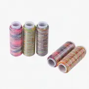 RainbowStitch: 5 Spools of Variegated Polyester Thread for Embroidery & Sewing -