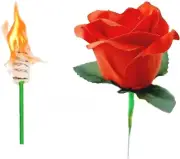 Fire Magic Trick: Torch Turns into a Rose - Easy to Learn 8PCS