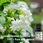 美國製 沙巴茉莉精油 印度小花茉莉 阿拉伯茉莉 100ML~10ML JASMINUM SAMBAC 純單方 未稀釋